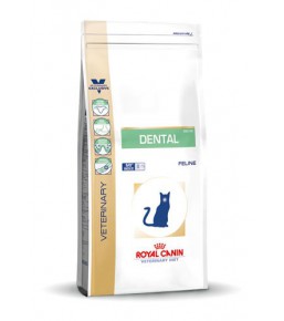 Royal Canin Dental kat