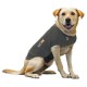 Thundershirt voor hond