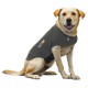 Thundershirt voor hond