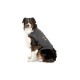 Thundershirt voor hond