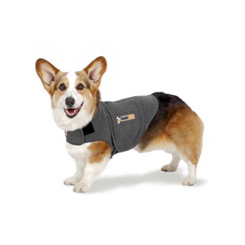 Waakzaamheid pensioen bron Thundershirt™ - Vest ter vermindering van stress bij honden /  Direct-Dierenarts