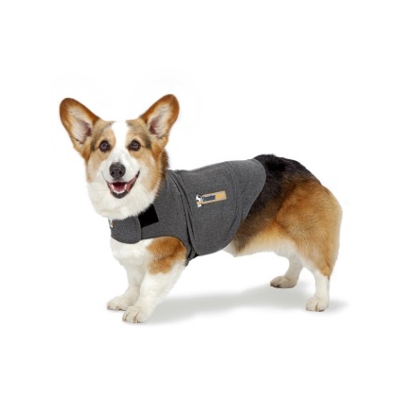 draagbaar Verscheidenheid inleveren Thundershirt™ - Vest ter vermindering van stress bij honden /  Direct-Dierenarts