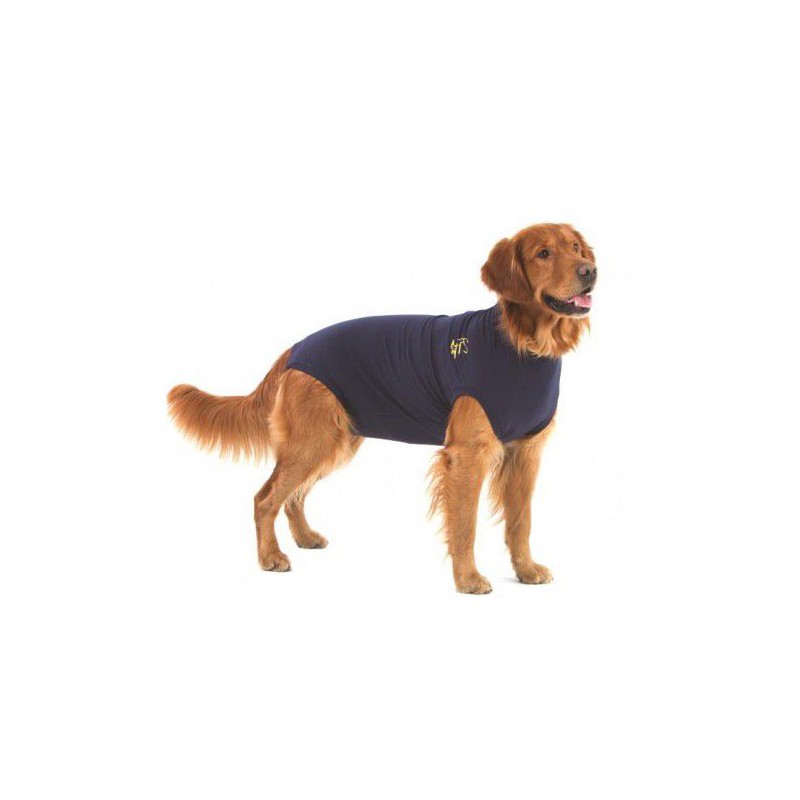 Inferieur Tot ziens Afgekeurd Medical Pet Shirt™ - Beschermend shirt voor honden - MPS / Direct-Dierenarts