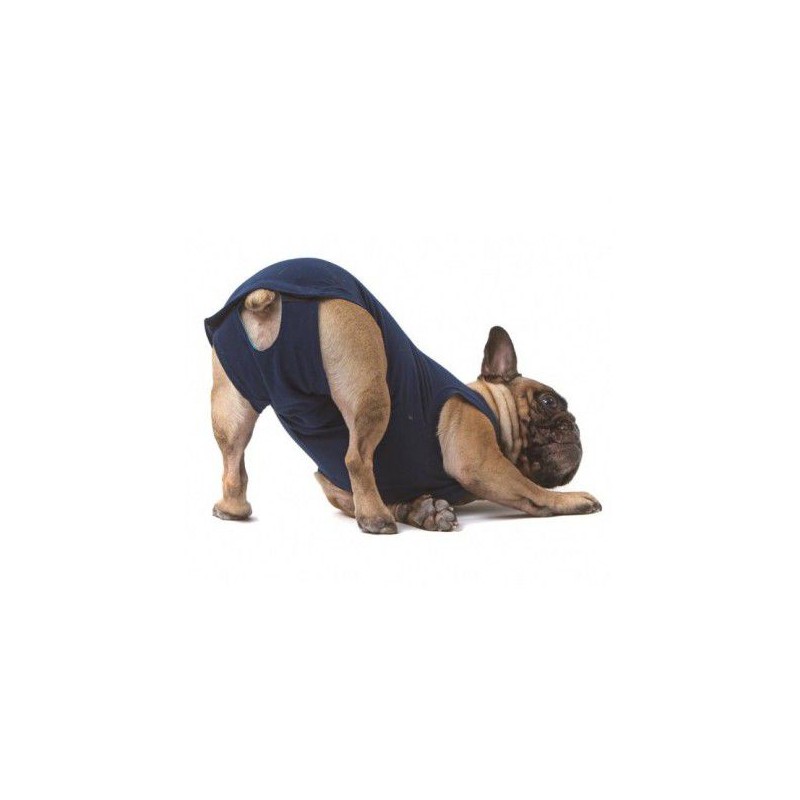 Grof Sprong versieren Medical Pet Shirt™ - Beschermend shirt voor honden - MPS / Direct-Dierenarts