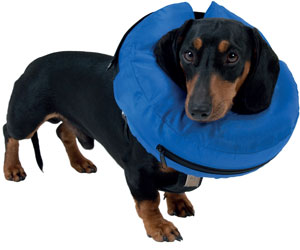 Hond elleboog brace beschermer, verdikte stabiele ondersteuning, voorkomt likken wonden op honden benen, draagbaar voor voorbenen (BROLEOiqhogxv02t-13