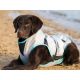 Manteau Rafraichissant pour chien DRY Cooling Vest