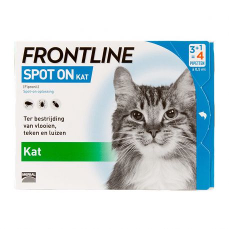 twee weken Competitief Giraffe Frontline Spot-On™ Kat - Pipet tegen vlooien en teken bij katten - Merial /  Direct-Dierenarts