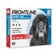 Frontline Spot-On Hond XL