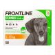 Frontline Combo Hond