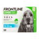 Frontline Combo Hond