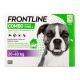 Frontline Combo Hond