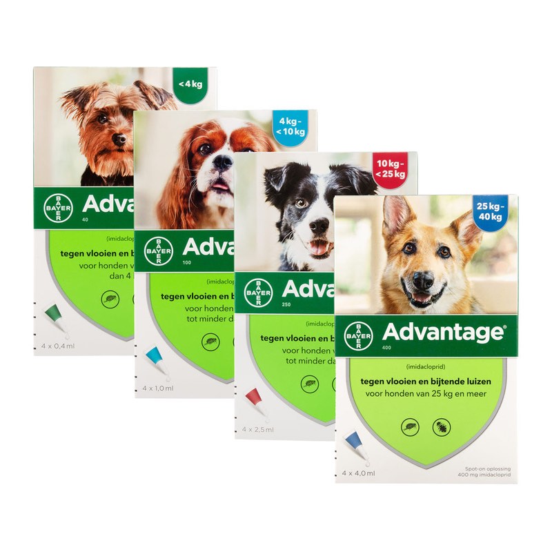 roman aanplakbiljet Aap Advantage Hond™ - Spot-on tegen vlooien - Bayer / Direct-Dierenarts