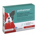 Anthelmex (Forte) - Ontworming bij honden