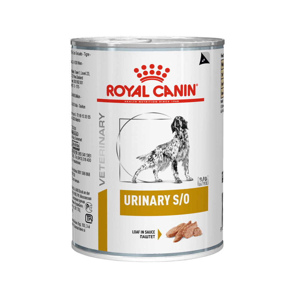 Toeval Moskee rekruut Royal Canin Urinary S/O Hond™ - Voor de behandeling van blaasstenen of  blaasgruis﻿ / Direct-Dierenarts