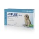 Amflee Spot-on Hond L