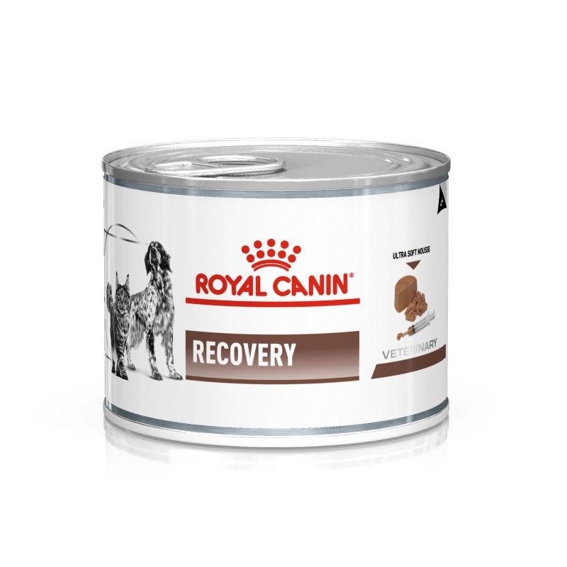Reizen eend accent Royal Canin Recovery™ - Natvoeding voor herstelperiodes / Direct-Dierenarts