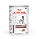 Royal Canin Gastro Intestinal - Natvoeding