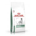 Royal Canin Diabetic - Droogvoeding