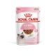 Royal Canin Kitten - Natvoeding