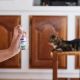 Zenifel Kalmerende feromonen spray voor katten