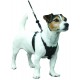 Sporn "non pull harness" Small