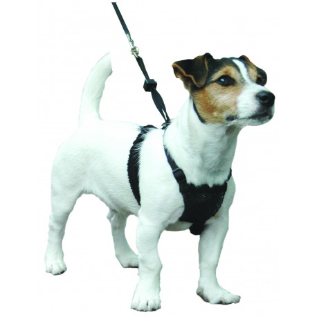 Sporn "non pull harness" Small