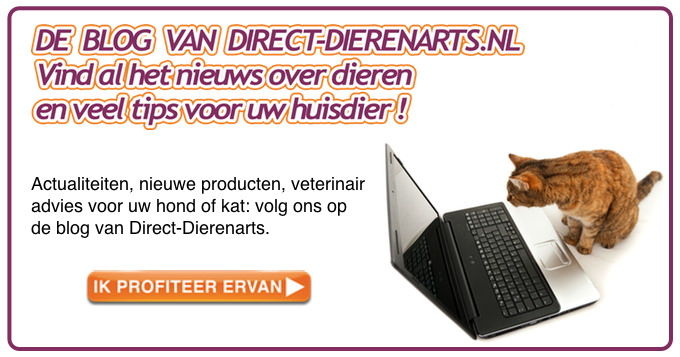 Link naar de blog direct-dierenarts.nl